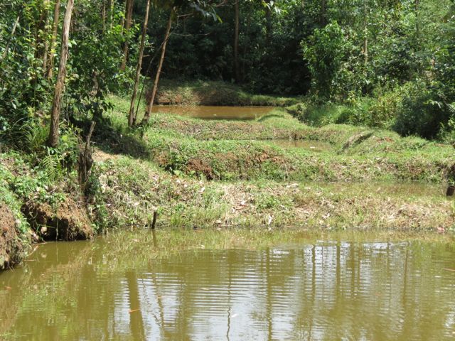 fish farm