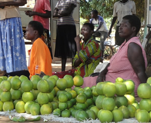 selling oranges