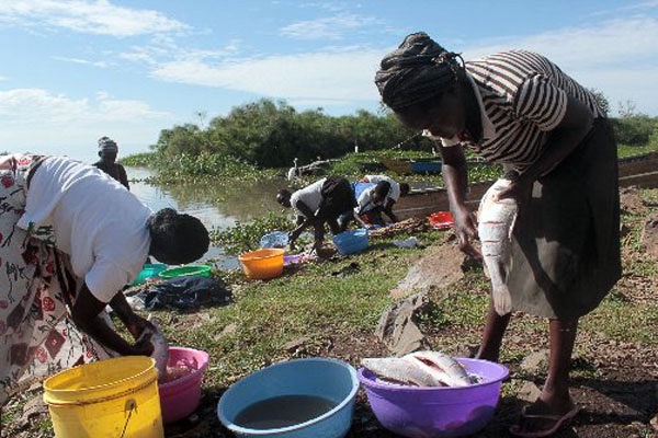 African women cleaning fish